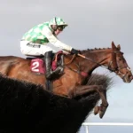 Celebre D'Allen dies following Grand National run