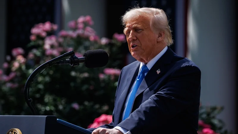 EU awaits clarity on Trump's 50% tariff threat