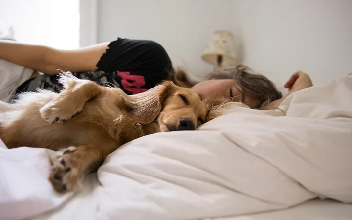 Front, back or side: What's the healthiest position to sleep in?