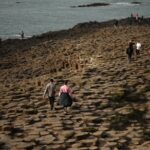Giant's Causeway being damaged by visitors leaving coins