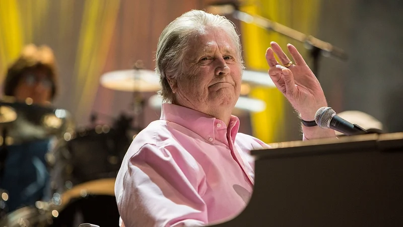 Beach Boys co-founder Brian Wilson dies, aged 82