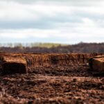 Illegal peat extraction causing catastrophic damage - EPA