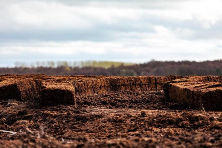 Illegal peat extraction causing catastrophic damage - EPA