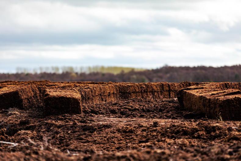 Illegal peat extraction causing catastrophic damage - EPA