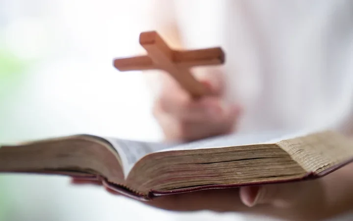 Significant increase in allegations of abuse against Catholic Church members