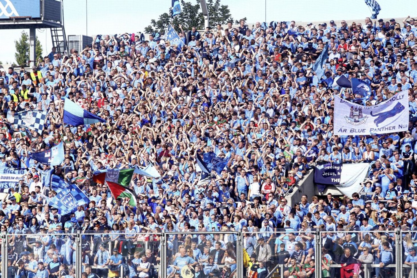 'The Jacks are back': how the Dubs put their stamp on Gaelic football