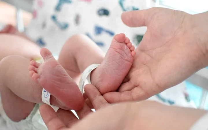 Eight babies born un UK from pioneering IVF technique to prevent disease