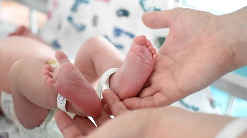 Eight babies born un UK from pioneering IVF technique to prevent disease