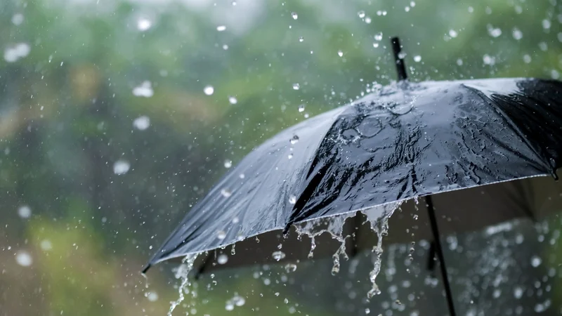 Status Yellow thunderstorm warning for 14 counties