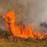 Firefighters continue to tackle gorse wildfire in Dublin