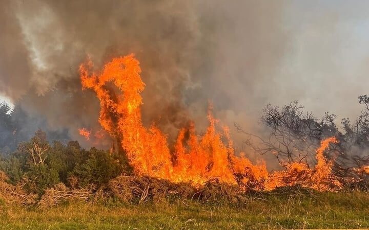 Firefighters continue to tackle gorse wildfire in Dublin