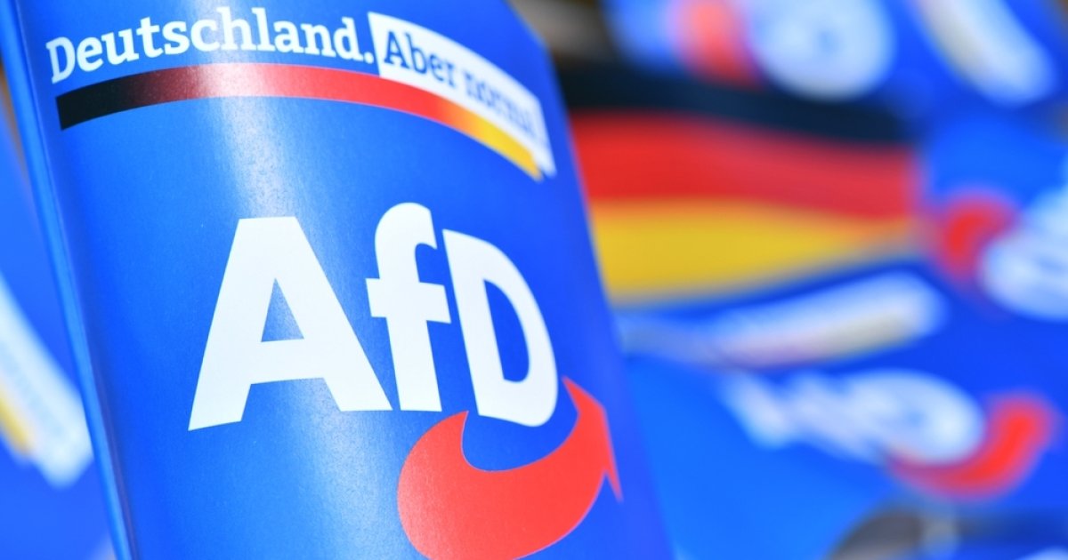 Nearly half of Germans expect AfD to win 2029 federal election