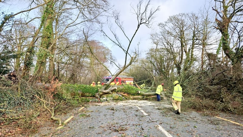 Bram, Fionnuala and Marty among new storm names for Ireland