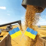 Europe strengthens corn imports from Ukraine amid drought impact