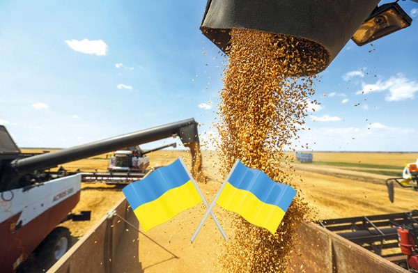 Europe strengthens corn imports from Ukraine amid drought impact