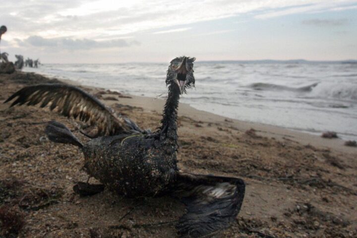 Oil slick from Novorossiysk threatens Crimea and Black Sea region