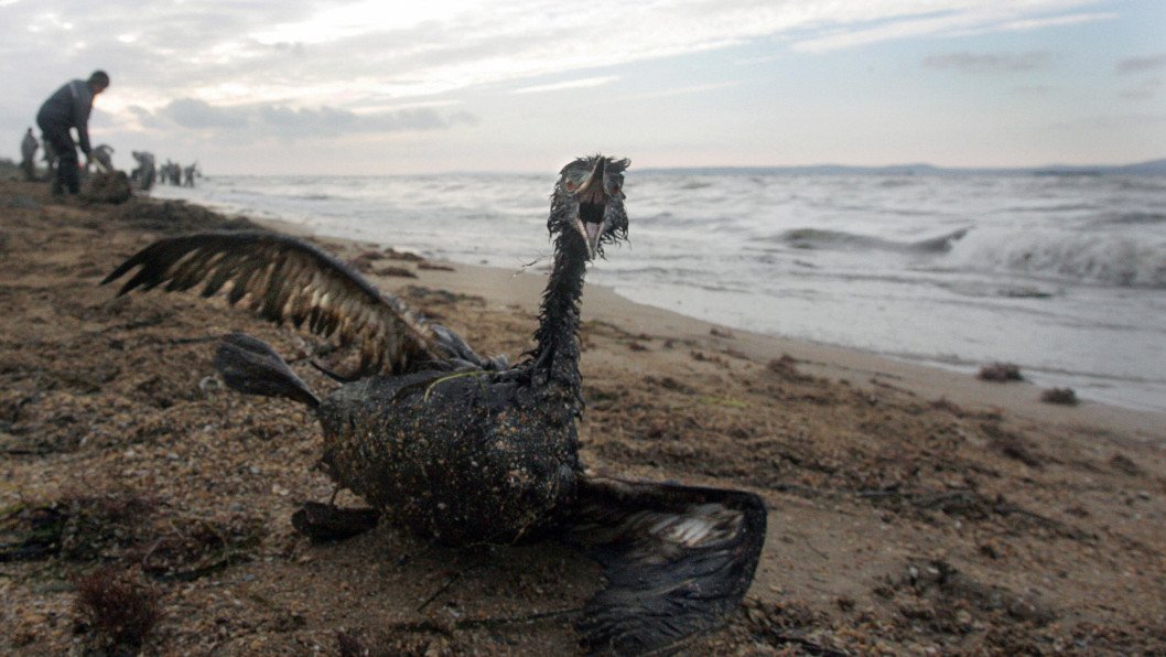 Oil slick from Novorossiysk threatens Crimea and Black Sea region