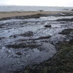 Oil spill in Murmansk Bay raises environmental alarm