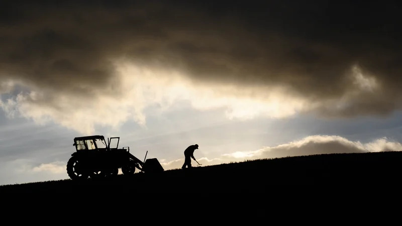 Trapped on the farm: how pension gap keeps older farmers at work