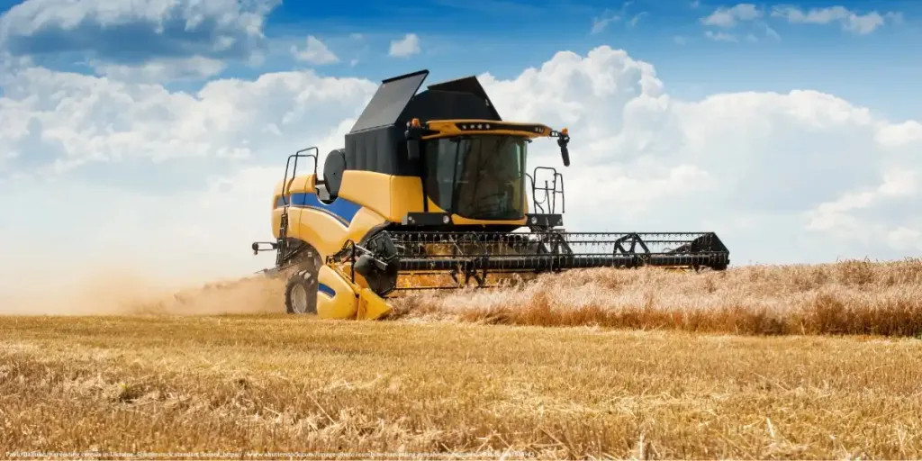 Ukraine’s agricultural exports secure EU food stability