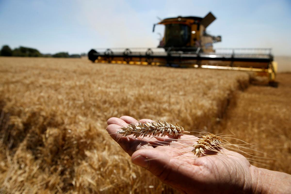 Ukrainian grain exports to Europe set to double despite war