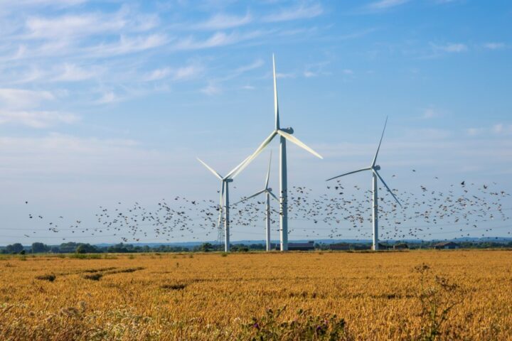 £1 billion wasted on wind power despite Miliband's promise to lower energy bills