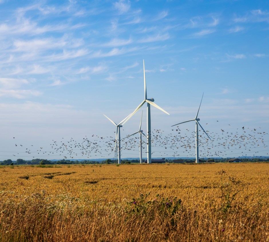 £1 billion wasted on wind power despite Miliband's promise to lower energy bills