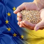 EU substantially increases quotas for Ukrainian food exports