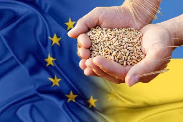 EU substantially increases quotas for Ukrainian food exports