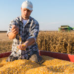 Romania strengthens Black Sea role as Ukrainian grain rail corridor re-opens