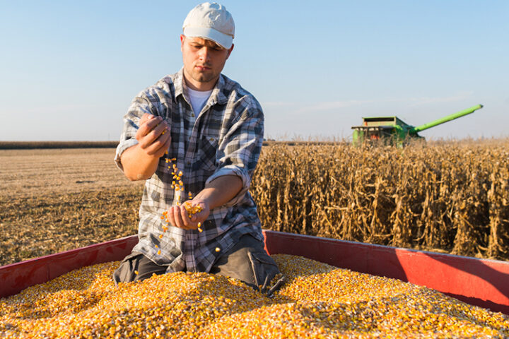 Romania strengthens Black Sea role as Ukrainian grain rail corridor re-opens