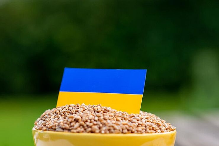 Ukrainian barley emerges as strategic resource for European feed and logistics