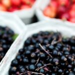 Ukrainian currants strengthen Europe’s fruit markets