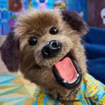 BBC adapts Blue Peter for YouTube amid children's programming crisis in the UK