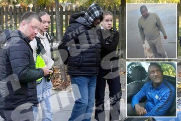 David Lammy faces backlash over mistaken release of Epping boat migrant from prison