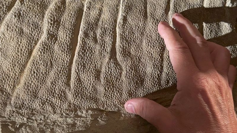 Dinosaur 'mummy' skin identified as a clay mask, revealing ancient preservation methods