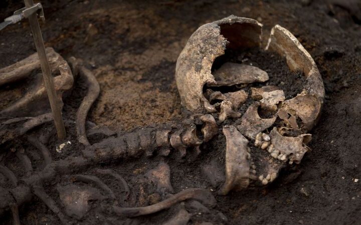 Scientists develop method to detect ancient hormones linked to pregnancy in skeletons