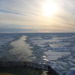 Search for HMS Endurance shipwreck uncovers geometric fish nest patterns in Antarctic seabed