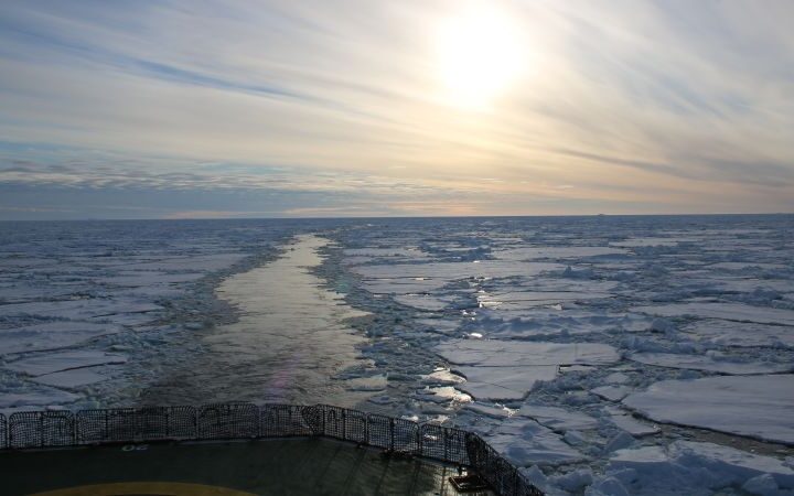 Search for HMS Endurance shipwreck uncovers geometric fish nest patterns in Antarctic seabed