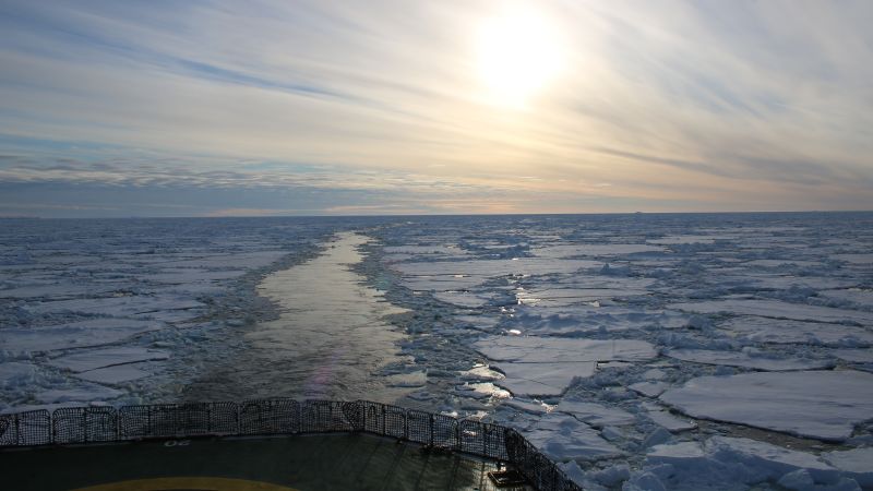 Search for HMS Endurance shipwreck uncovers geometric fish nest patterns in Antarctic seabed