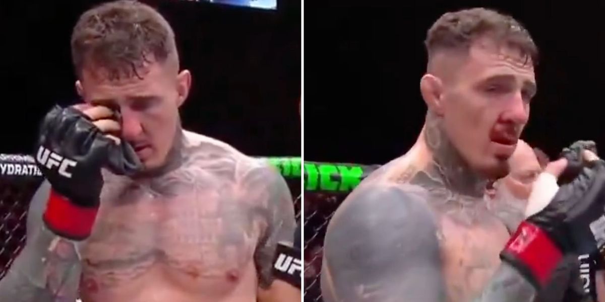 Tom Aspinall's heavyweight title defence ends in no contest after eye poke injury