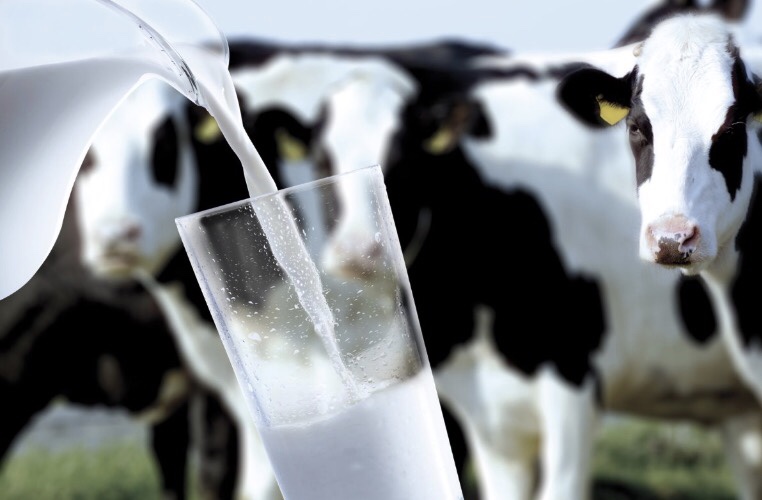 Europe sees strategic benefits as Ukraine joins development of a unified dairy sector