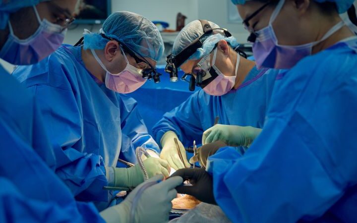 Doctors report significant progress in making pig kidneys viable for human transplants