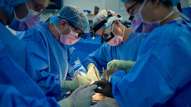 Doctors report significant progress in making pig kidneys viable for human transplants