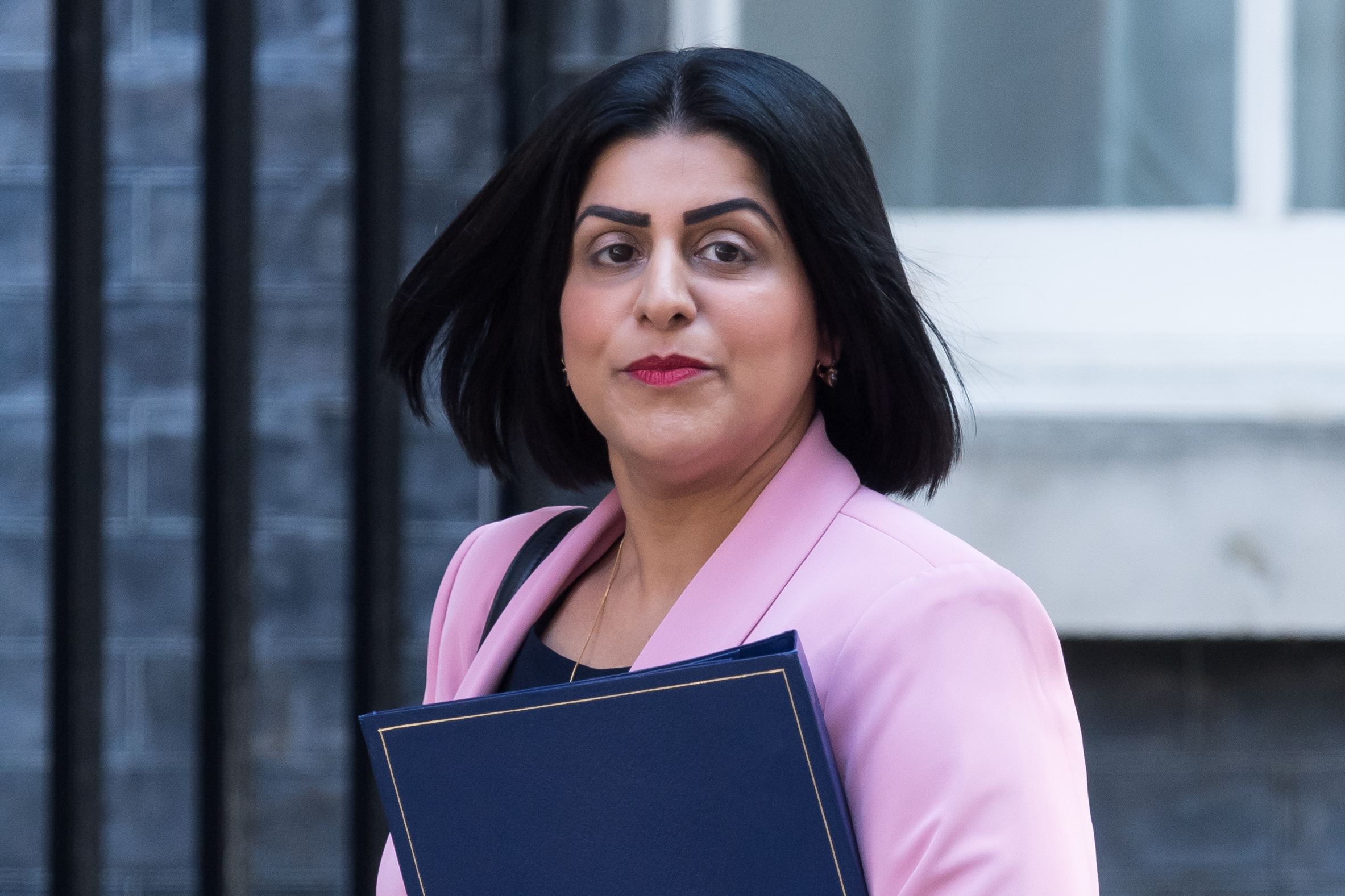 Home Secretary plans radical measures to enhance public safety and curb illegal migration