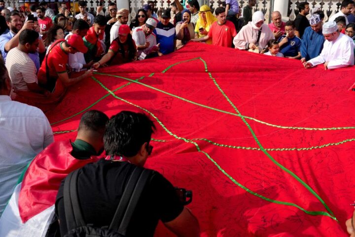 Morocco faces backlash over reported culling of stray dogs ahead of World Cup 2030