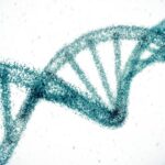 Scientists use gene editing to potentially offer permanent solution for high cholesterol