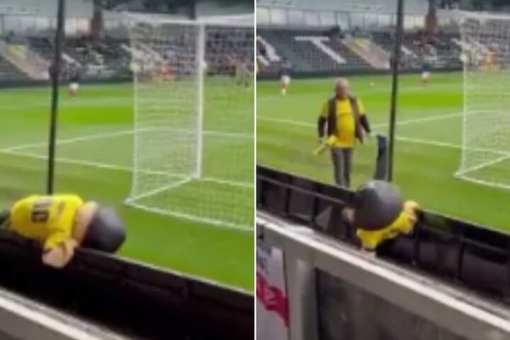 St Albans City mascot removed from FA Cup match amid viral antics