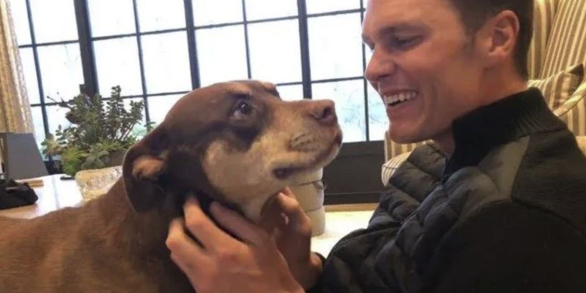Tom Brady reveals his dog is a clone of his late pet