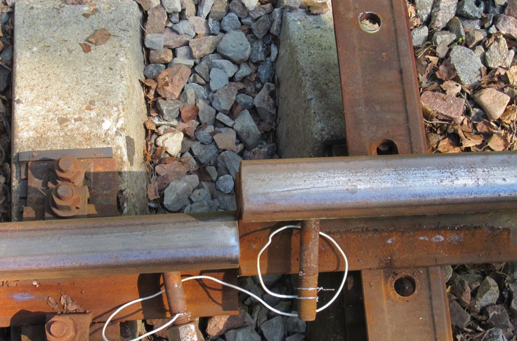 Germany probes potential use of left-wing extremists by Russia